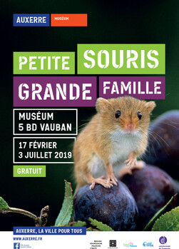 17.02---Muséum-visuel-Souris-Abribus