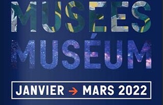 musé museum.JPG