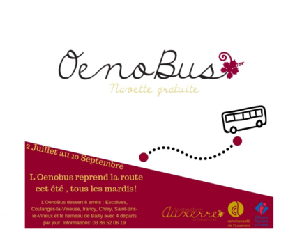 1562659783_Oenobus_zoom