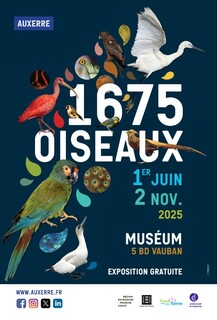 Affiche 1675 Oiseaux