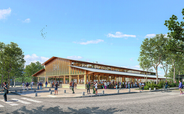 Projet rose Arquebuse